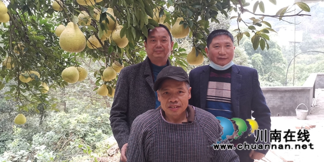 泸州民盟：双十一，好“柚货”助销售好帮手 (图5)