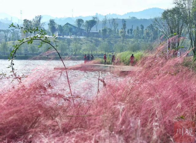从无人问津到小有人气 泸州国家高新区3年建成“世外桃源”(图1)