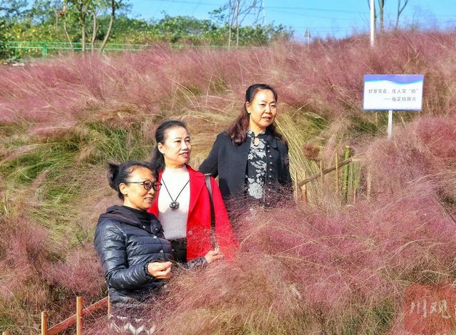 从无人问津到小有人气 泸州国家高新区3年建成“世外桃源”(图3)