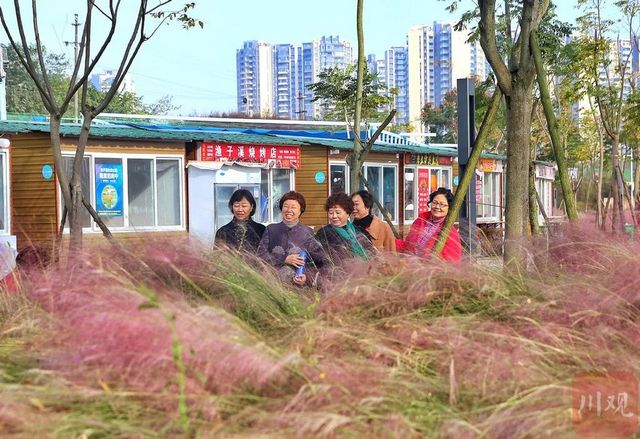 从无人问津到小有人气 泸州国家高新区3年建成“世外桃源”(图4)