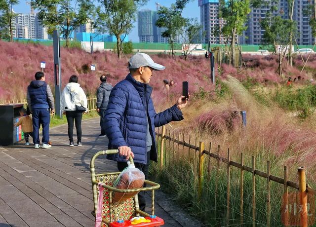 从无人问津到小有人气 泸州国家高新区3年建成“世外桃源”(图5)