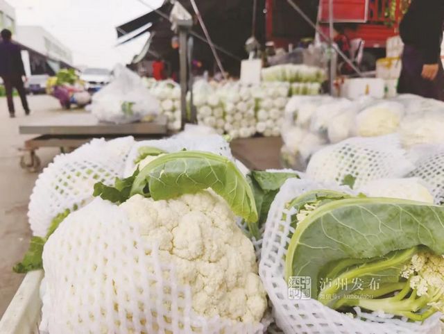 鲜菜涨价，猪肉降价！10月泸州CPI同比持平(图2)