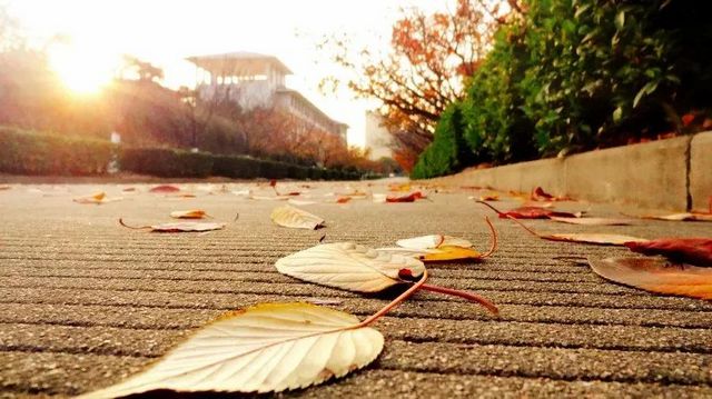 【扩散】西南医大中医院膏方开始预订了！(图1)