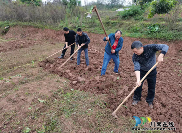 纳溪区东升街道：深入田间地头，走进群众心头(图1)