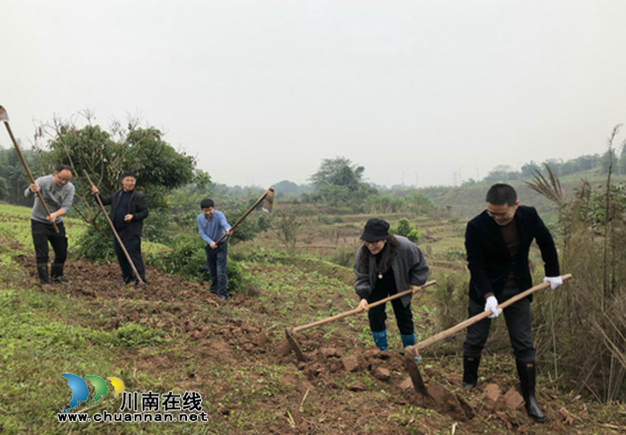 纳溪区东升街道：深入田间地头，走进群众心头(图2)