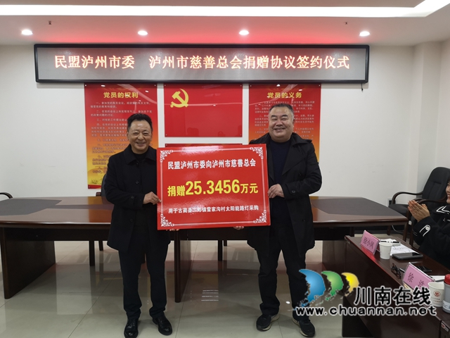 民盟泸州市委：路灯捐赠新进展，乡村振兴亮起来(图1)