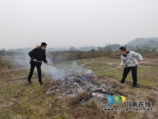 纳溪区东升街道：防患未“燃”，筑牢冬季秸秆禁烧“防火墙”(图2)