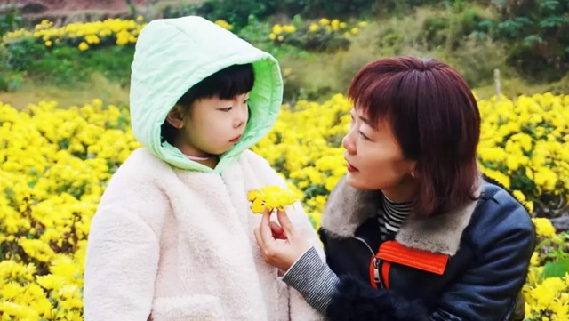 美如画!龙马潭十余亩金丝皇菊灿然绽放(图8) 美如画!龙马潭十余亩金丝皇菊灿然绽放(图8)