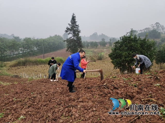 合江县2021年小麦播种面积约3万亩(图2)