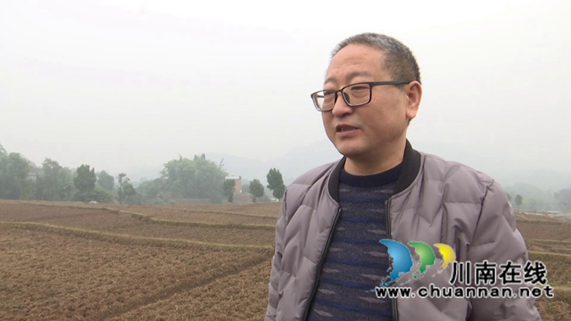 合江县2021年小麦播种面积约3万亩(图6)