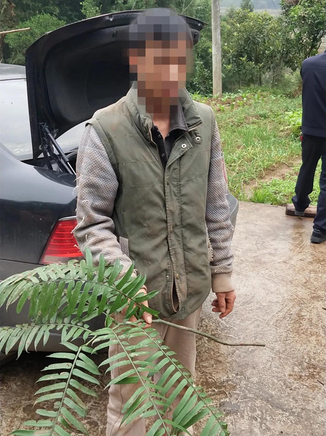 胆大包天!合江石龙镇一男子直播售卖国家二级保护植物,被网友举报……(图3) 胆大包天!合江石龙镇一男子直播售卖国家二级保护植物,被网友举报……(图3)