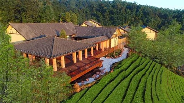 【我们这五年】打造四大亮点，“数”说泸州文广旅工作新成绩(图14)