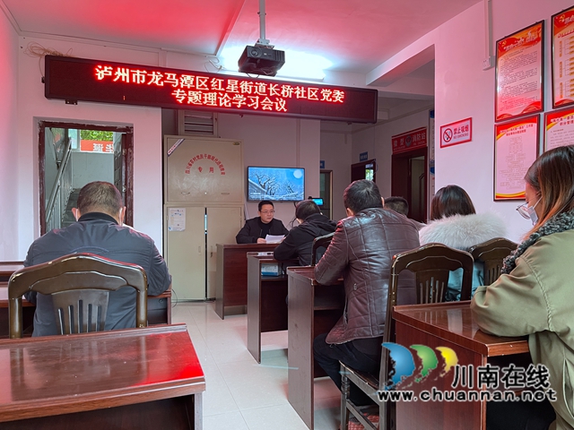 龙马潭区红星街道长桥社区召开党委理论学习专题会议(图1)