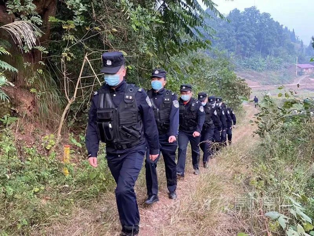 搜山!600斤“巨兽”伤人,内江警方合围击毙(图2) 搜山!600斤“巨兽”伤人,内江警方合围击毙(图2)