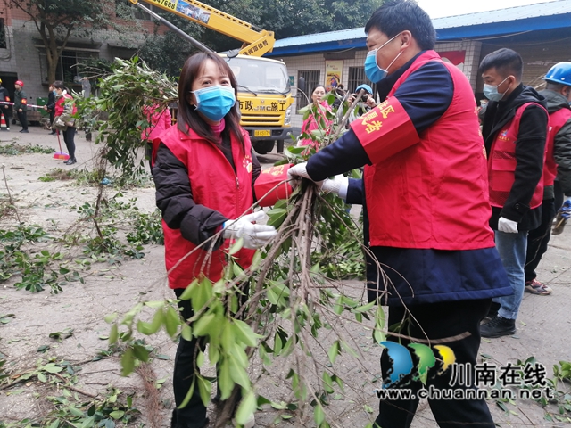 江阳区华阳街道：修叶剪枝去隐患，办好实事护民心(图1)