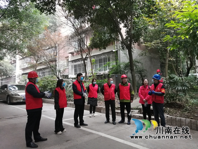 江阳区华阳街道：修叶剪枝去隐患，办好实事护民心(图2)