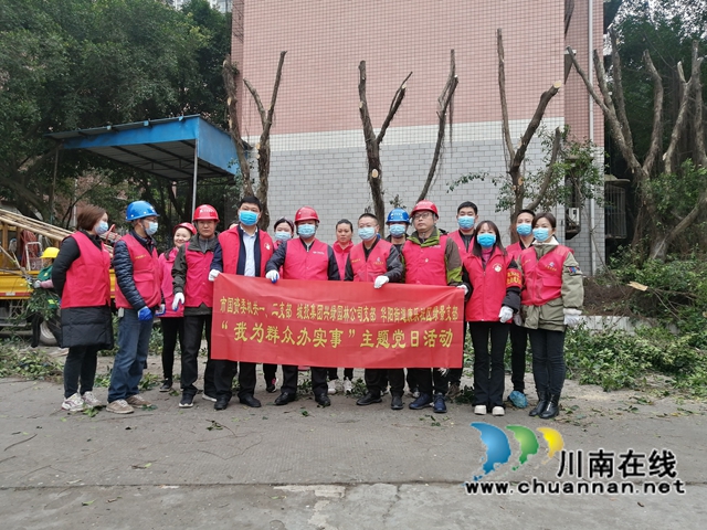 江阳区华阳街道：修叶剪枝去隐患，办好实事护民心(图3)
