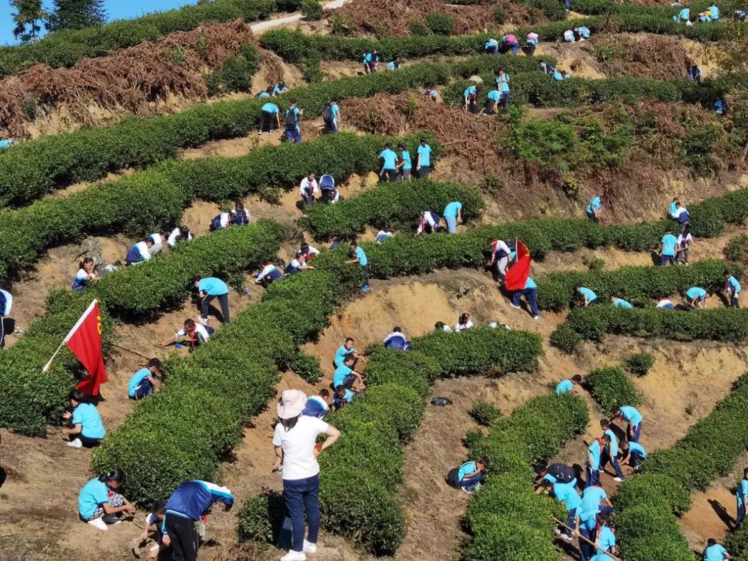 “五育并举”推动基础教育高质量发展|泸州市积极探索德智体美劳“五育融合”教育实践(图1)