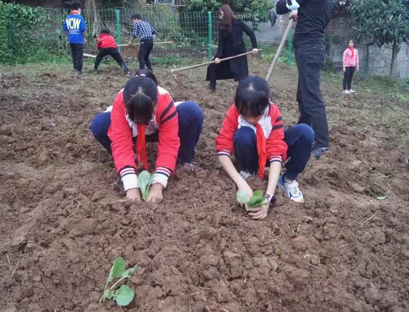 “五育并举”推动基础教育高质量发展|泸州市积极探索德智体美劳“五育融合”教育实践(图10)