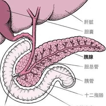 【警惕】79岁大爷喝酒吃肉！一查是癌(图3)