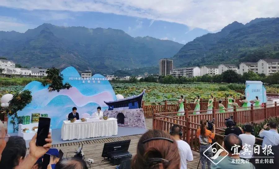 直播带货 让宜宾农产品有了“新销路”(图9) 直播带货 让宜宾农产品有了“新销路”(图9)