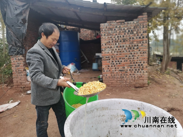 填补市场空档，泸县玄滩红膏蟹高价上市(图3)