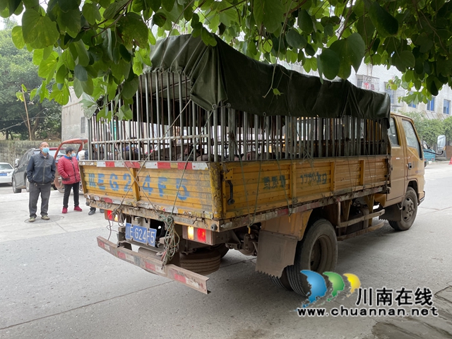 泸县百和镇：爱心企业来赠猪，乡村振兴有盼头(图2)