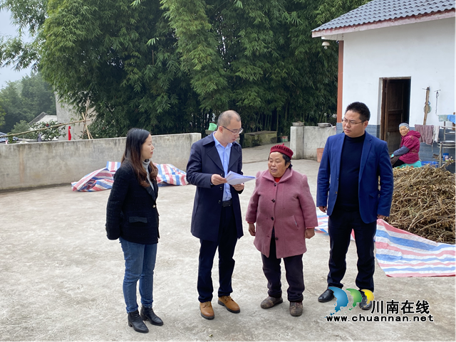 龙马潭区自然资源和规划分局开展脱贫攻坚成果“回头看”(图1)