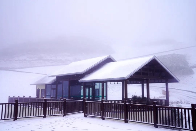 美如童话世界，“泸州之巅”雪花飘(图1)