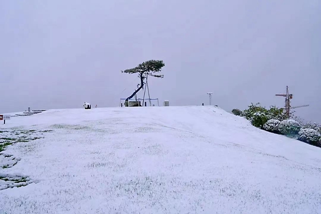美如童话世界，“泸州之巅”雪花飘(图3)