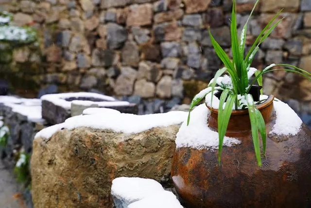 美如童话世界，“泸州之巅”雪花飘(图7)