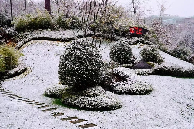 美如童话世界，“泸州之巅”雪花飘(图8)