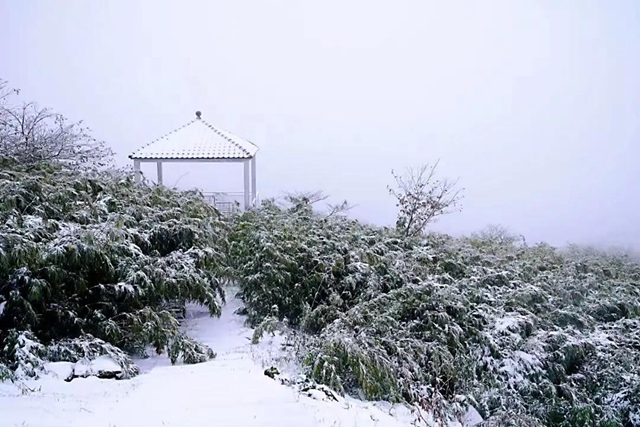 美如童话世界，“泸州之巅”雪花飘(图10)