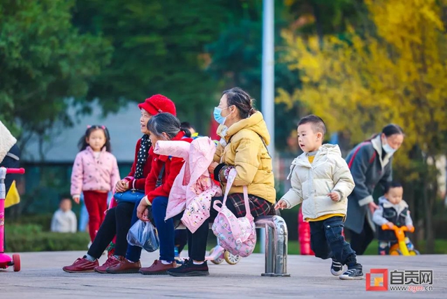 错过又等一年！现在的自贡美不胜收，还不去打卡！(图21)