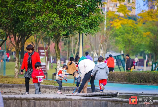 错过又等一年！现在的自贡美不胜收，还不去打卡！(图23)