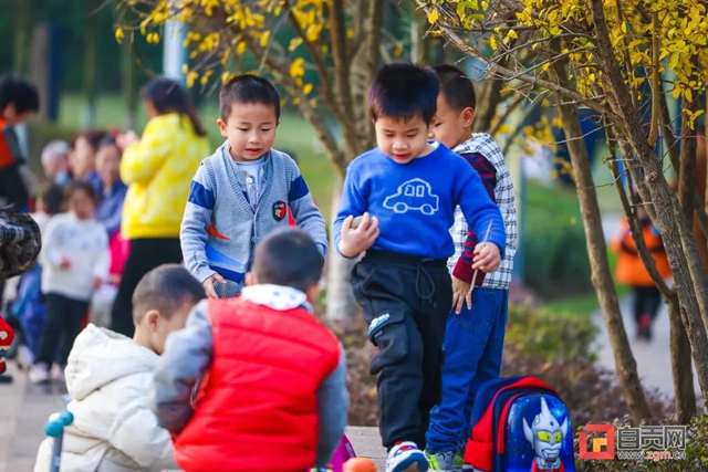 错过又等一年！现在的自贡美不胜收，还不去打卡！(图22)