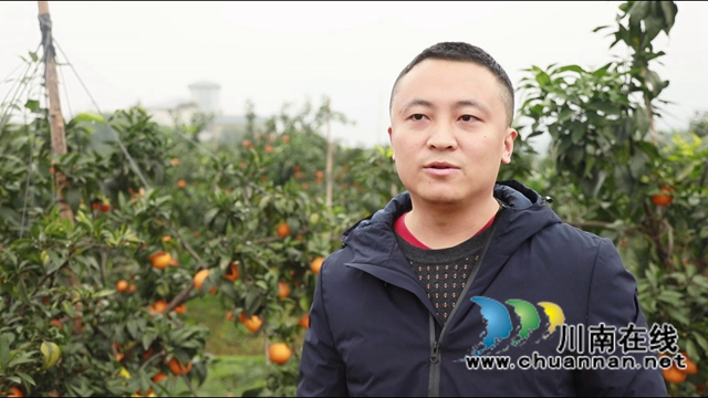合江县尧坝镇：乡村振兴图绘上“尧坝红”(图7)