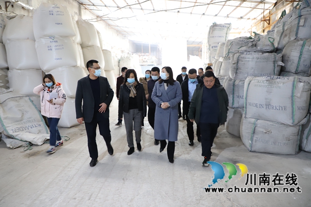 冯怀玉带队到泸县天兴镇企业调研链长制工作(图3)