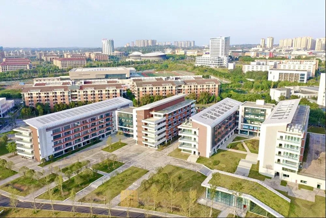 泸州市医教园区基础设施项目竣工投用(图9)