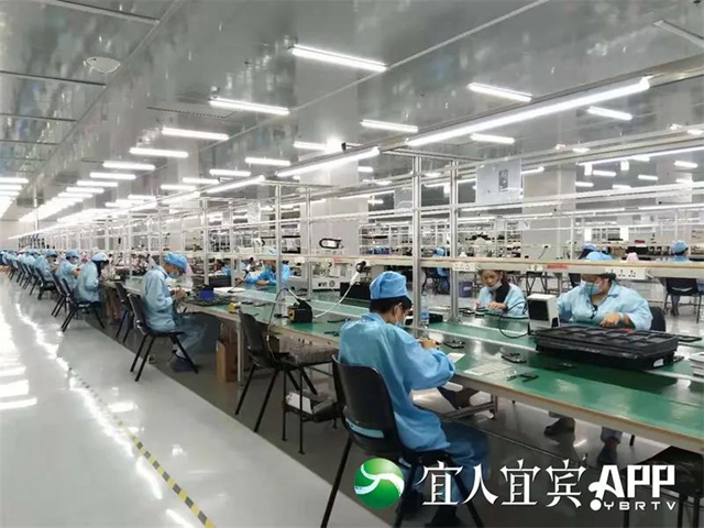 突破170亿！宜宾外贸已连续20个月同比增长