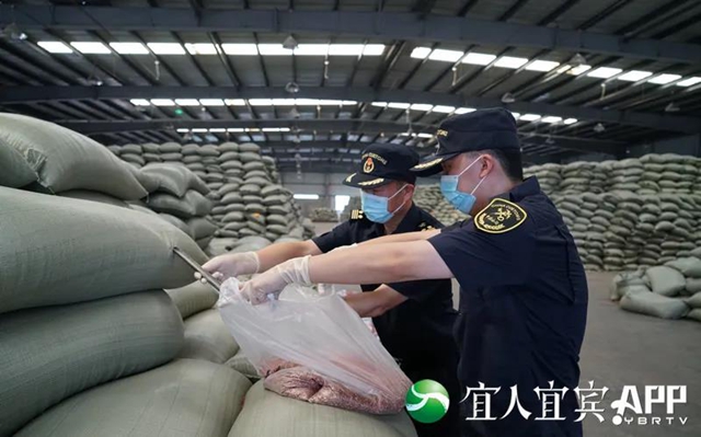 突破170亿!宜宾外贸已连续20个月同比增长(图3) 突破170亿!宜宾外贸已连续20个月同比增长(图3)