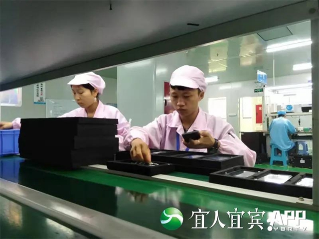 突破170亿!宜宾外贸已连续20个月同比增长(图5) 突破170亿!宜宾外贸已连续20个月同比增长(图5)