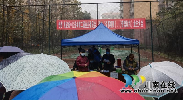 龙马潭区鱼塘街道：民主选举，选出美好生活(图1)