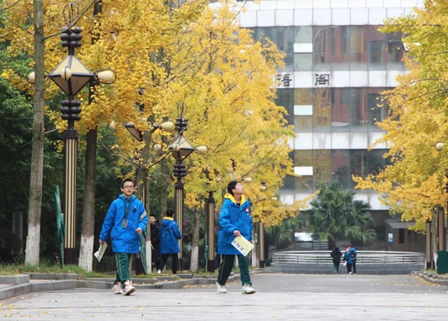 奔跑吧，少年！宪法为每一个人守候(图17)