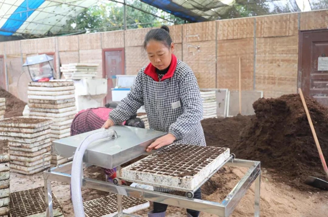 龙马潭：蔬菜吃紧？不！让你紧吃！(图11)