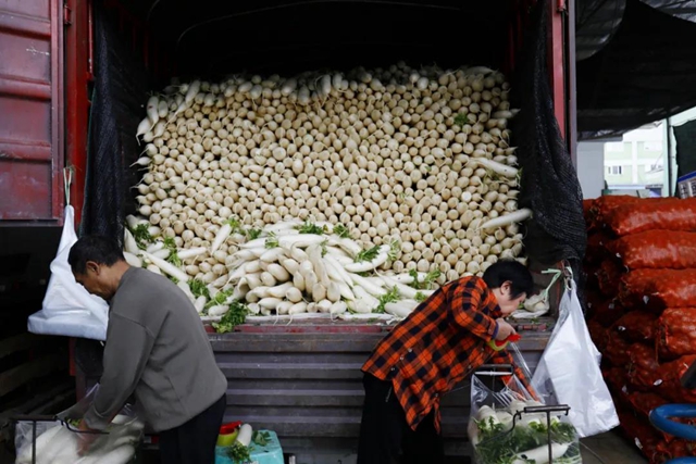 龙马潭：蔬菜吃紧？不！让你紧吃！(图14)