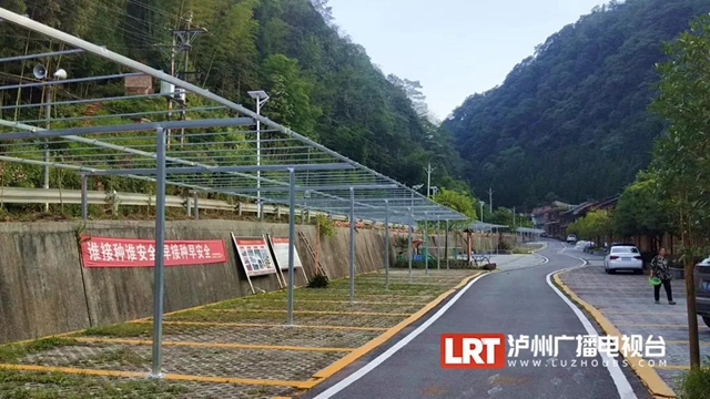 古蔺黄荆老林景区“升级”,未来将是“花海”世界(图6) 古蔺黄荆老林景区“升级”,未来将是“花海”世界(图6)