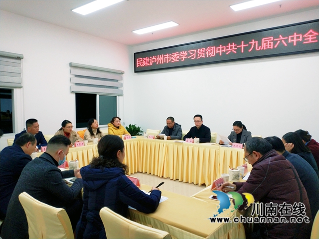 民建泸州市委召开中共十九届六中全会精神专题学习会(图1)