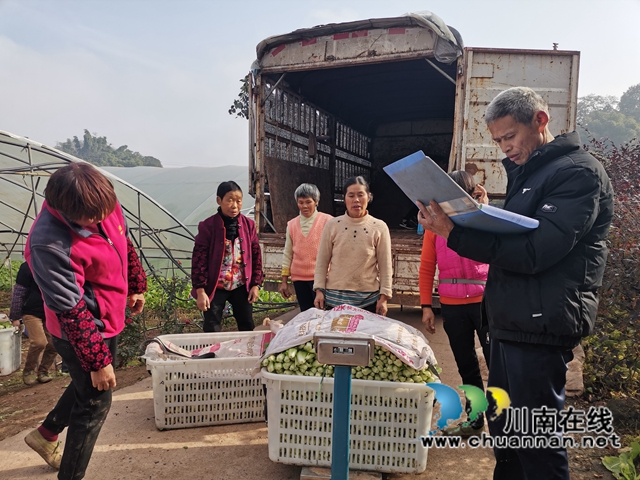 泸县：多措并举，守护老百姓菜篮子(图5)