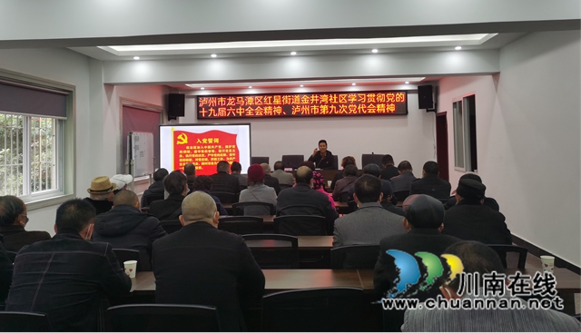 龙马潭区红星街道金井湾社区开展“我为群众办实事”主题党日活动(图2)